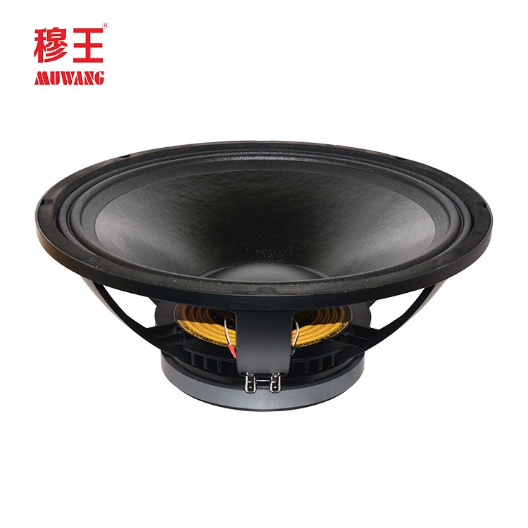 Professional Audio Subwoofer 18inch Speaker System Dj Speaker Woofer WL18023(2F)