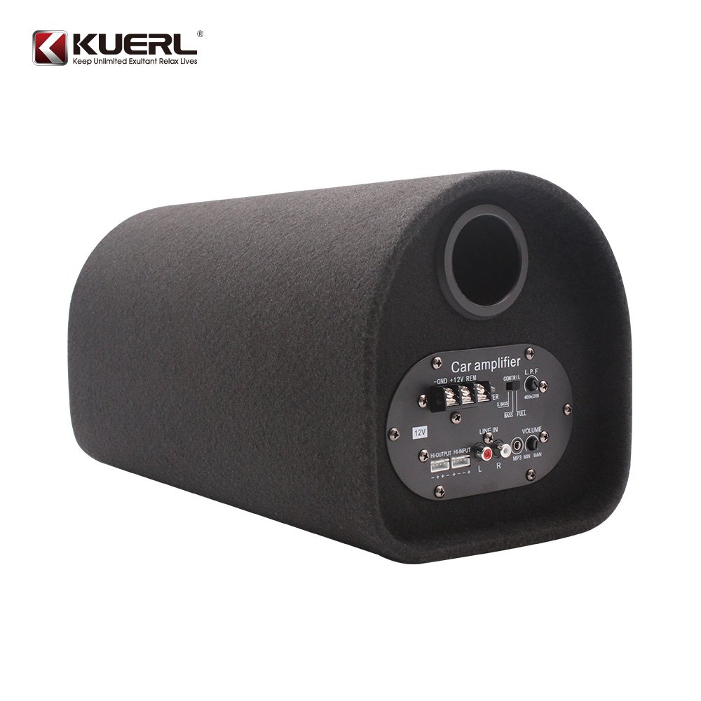 6.5 Inch Tunnel Type Car Subwoofer With Amplifier, Suitable for Car Bass
