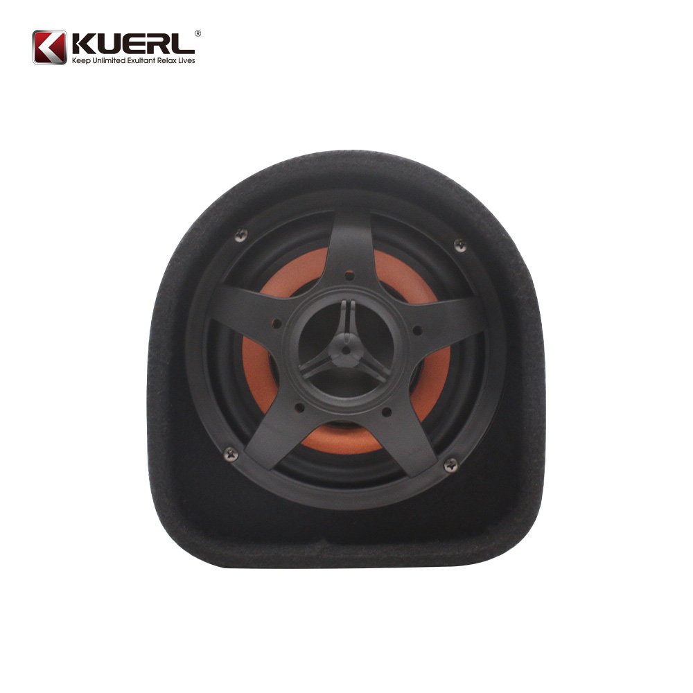 6.5 Inch Tunnel Type Car Subwoofer With Amplifier, Suitable for Car Bass