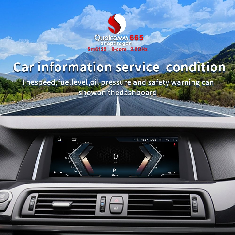 10.25 Inch Wireless Carplay Auto Qualcomm 665 Car Digital Dashboard Multimedia Video Player Radio for BMW 5 Series F10 F11