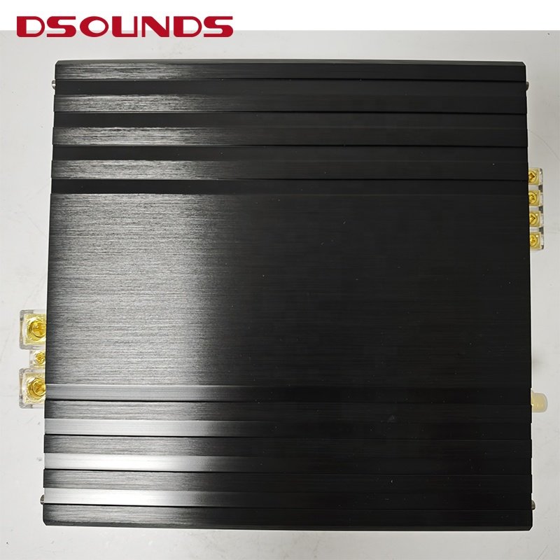 Hot Model 2CH Car Amplifier with Full Range Brazilian Style Car Amplifier of 1200WrmsX2CH Factory OEM Customizable Car Amplifier