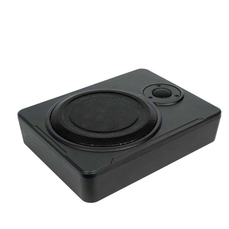 Factory Price Car Sudio Subwoofer Car Amplifies and Subwoofer Audio for Car Subwoofer