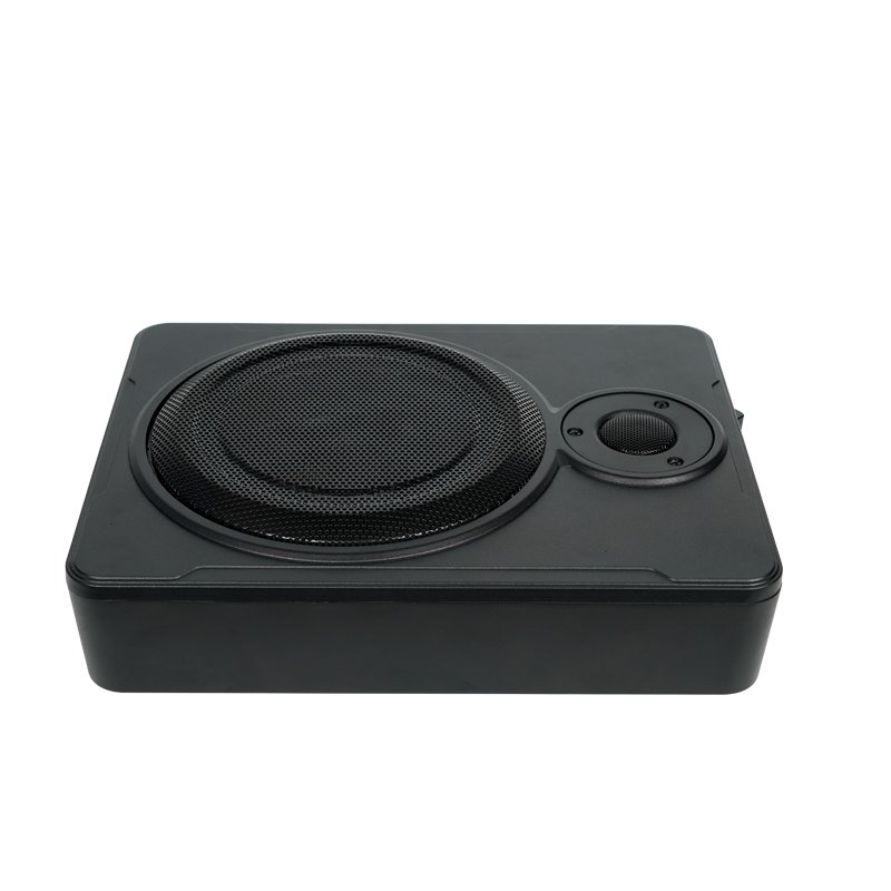 Factory Price Car Sudio Subwoofer Car Amplifies and Subwoofer Audio for Car Subwoofer