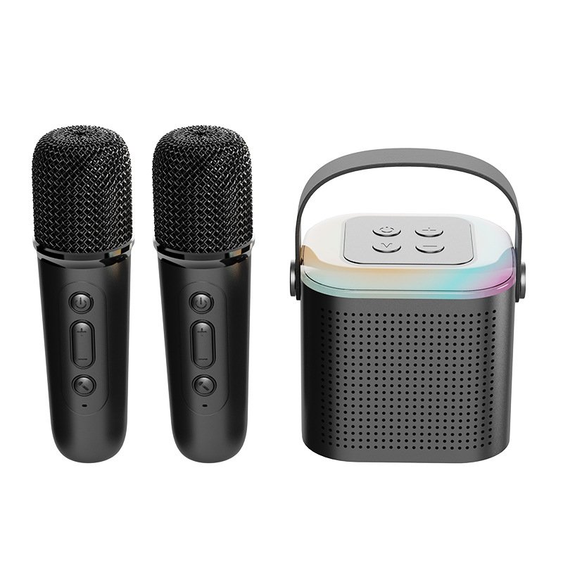 Portable Multi-scenario Applications Karaoke Artifact BT Connection Korean Amplifier Car Audio Dsp