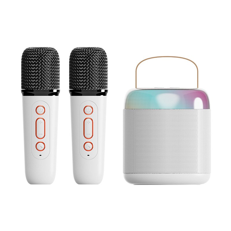 Portable Multi-scenario Applications Karaoke Artifact BT Connection Korean Amplifier Car Audio Dsp