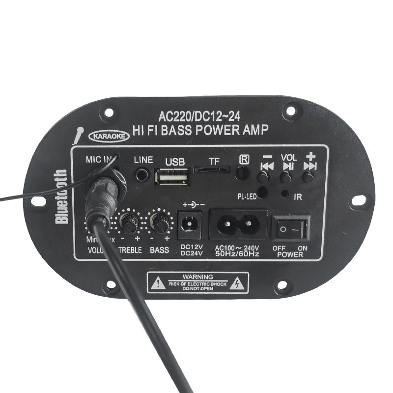 Customisable 220V 12v 24v AMP Digital Subwoofer Mono Microphone Amplifiers Amplificador Amplifier Board for Car Home