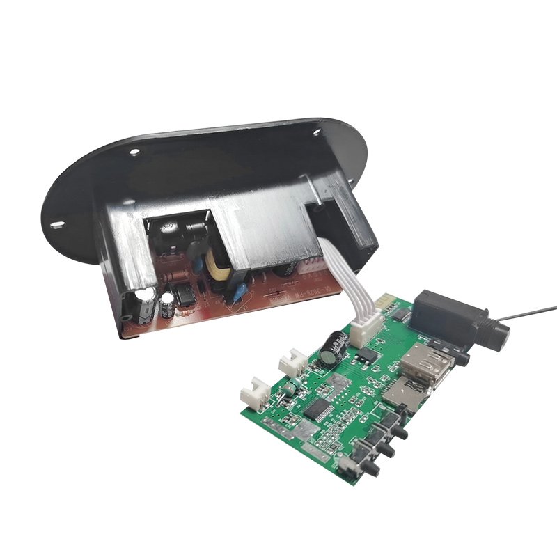 Customisable 220V 12v 24v AMP Digital Subwoofer Mono Microphone Amplifiers Amplificador Amplifier Board for Car Home