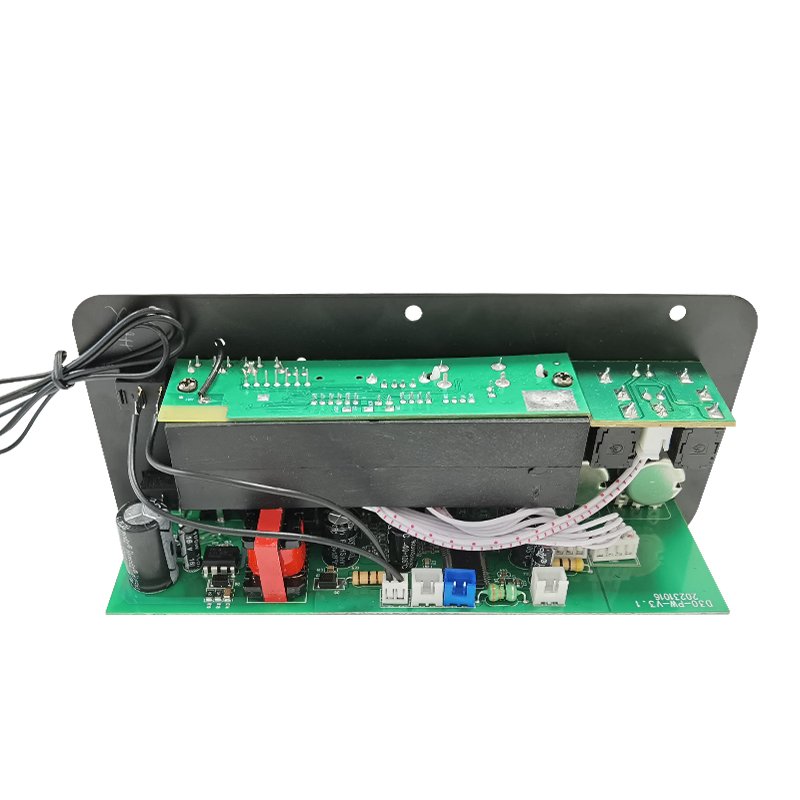 Customizable HI-FI Subwoofer Power Amp 12V/24V/220V High Bass D30 Amplifier Board Professional Home/KTV/Audio Car Music