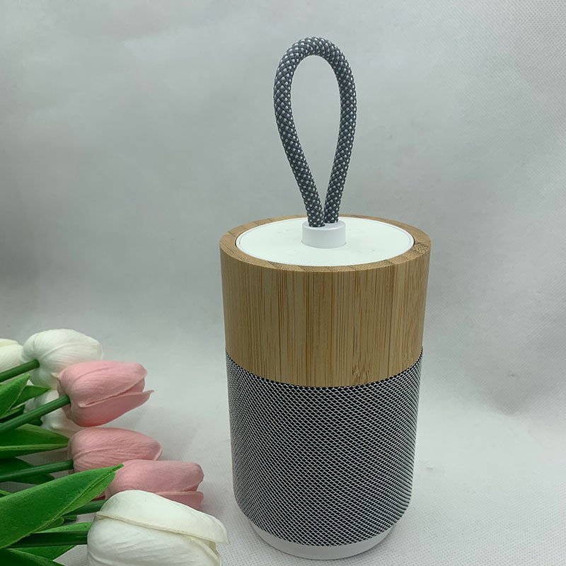 Most Selling Product Portable Audio Electronics Products for Television, Home Audio, Video & Accessories
