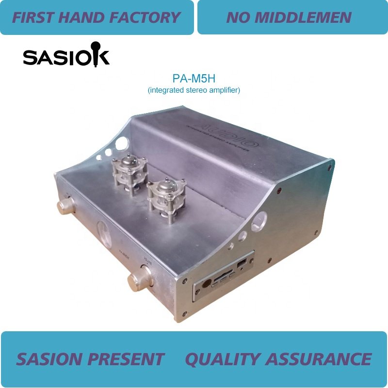 PA-M5H Integrated Stereo Amplifier (biliary Machine)/vacuum Tube Hi-fi Audio System 2.0 Channel