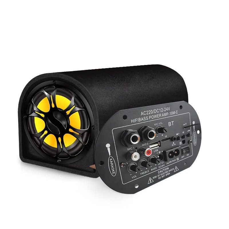 AC/DC Power Amplifier Board Dual Microphone 4 Ohms 6-10 Inch Car Speakers Subwoofer for Audio 12/24V 110/220V Output for Car