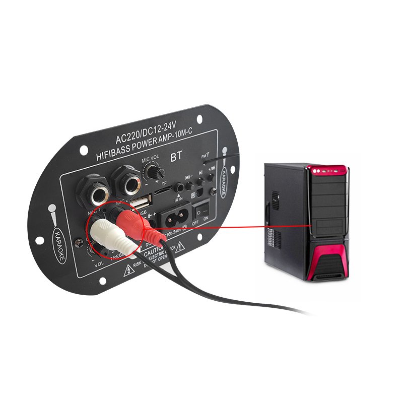 AC/DC Power Amplifier Board Dual Microphone 4 Ohms 6-10 Inch Car Speakers Subwoofer for Audio 12/24V 110/220V Output for Car