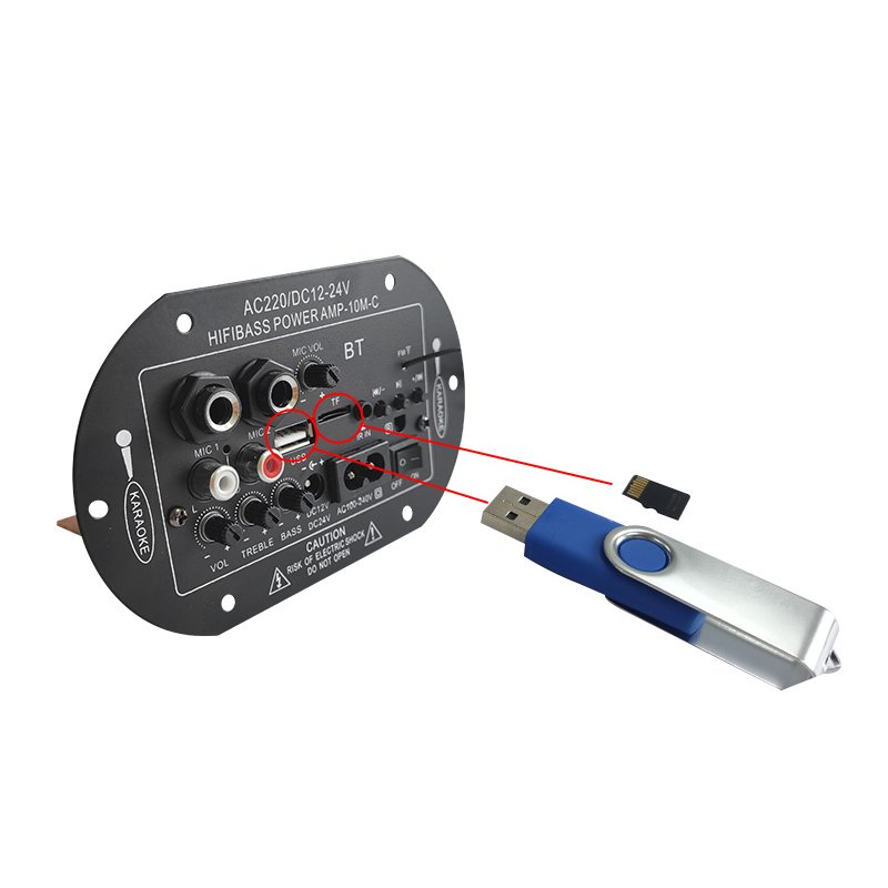 Dual Microphone 4 Ohms 6-10 Inch Car Speakers Subwoofer Audio 12/24V 110/220V Output Power Amplifier Board AC/DC Home Mixer