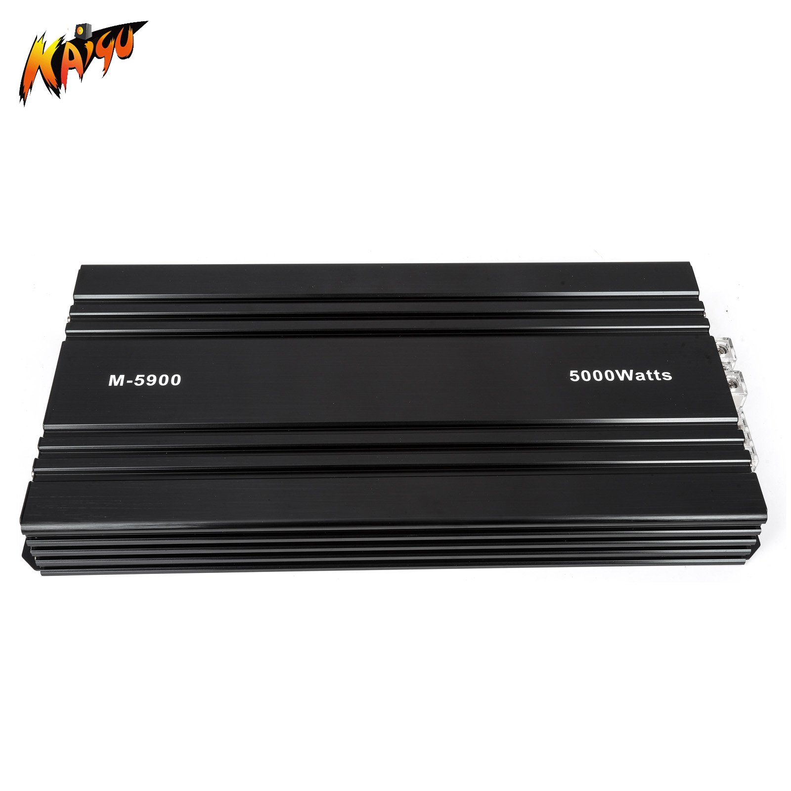 RMS 5000 Watts 1 Ohm Impedance Car Monoblock Power Kinds of Car and Truck Audio System Monoblock Car SPL Amplifier Class D