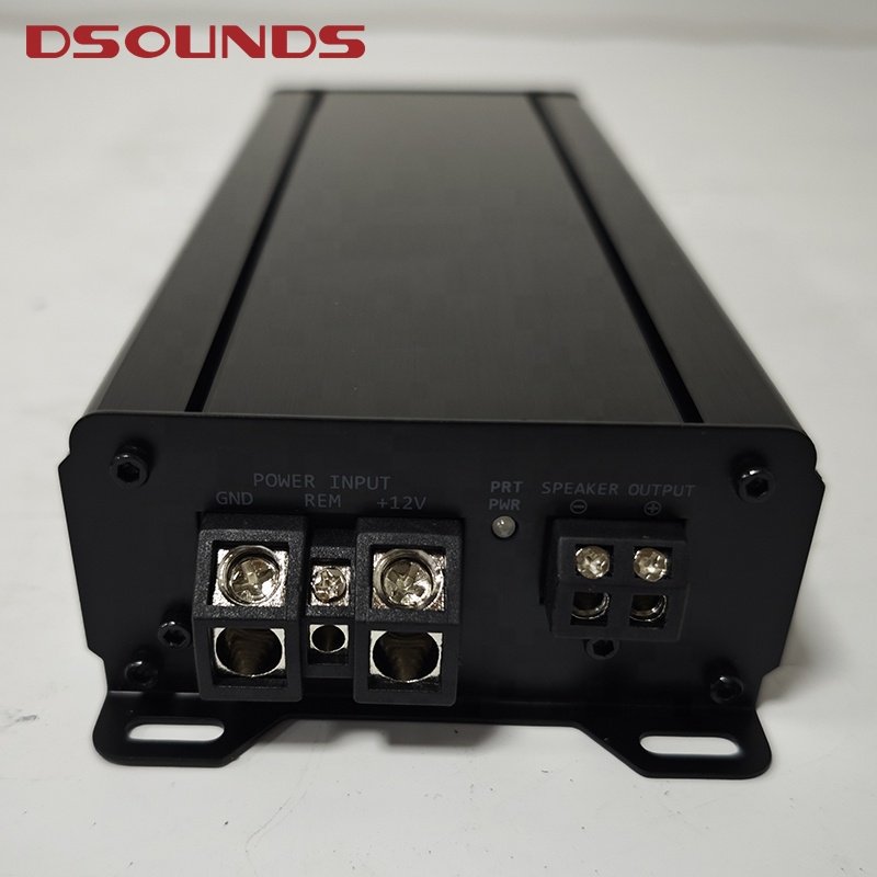 Mini Car Amplifier with 1000WRMS Power and Mini Size of Class D Car Amplifier Mono Block Amplifier for Car Audio