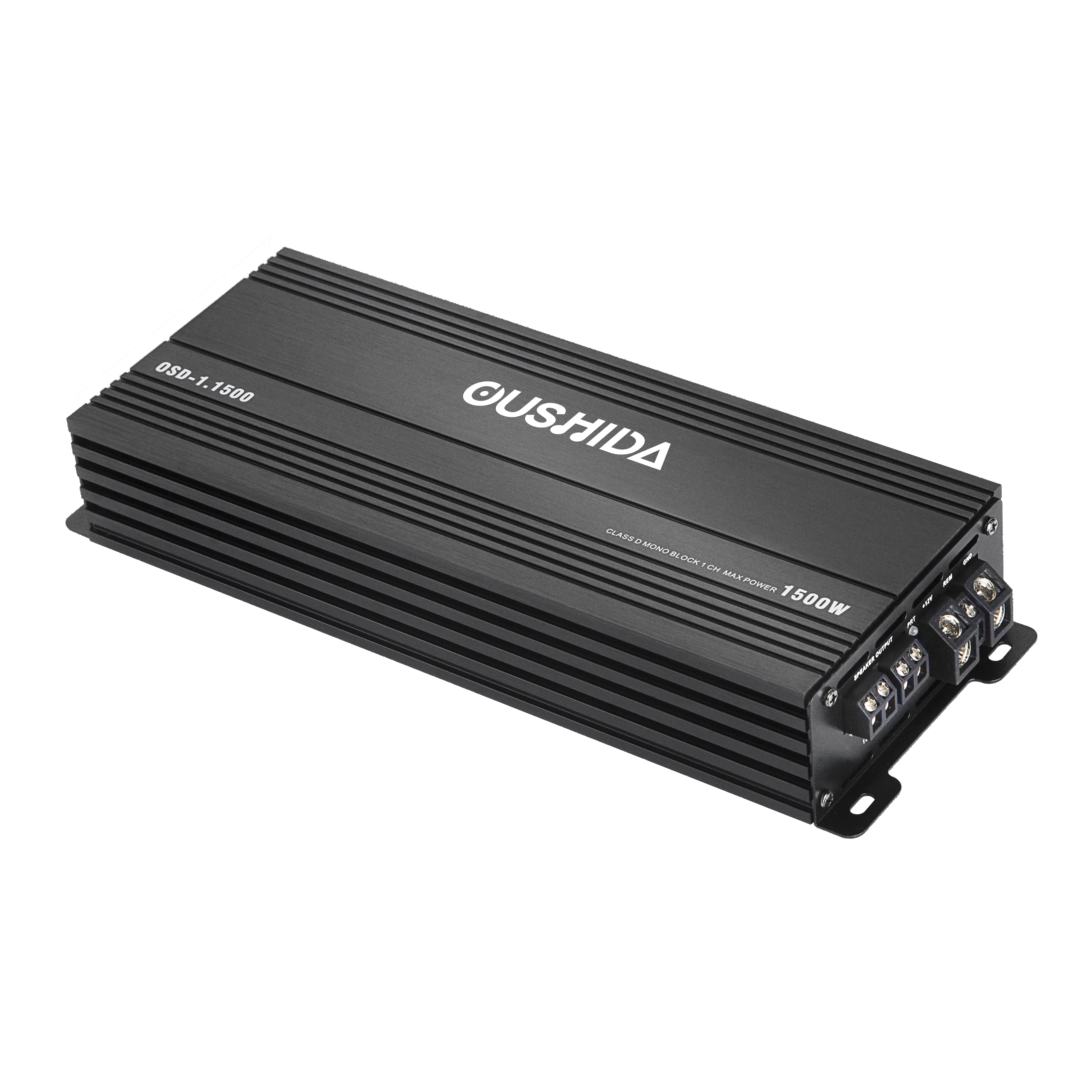 Energy Saving Mono Amplifier Car Audio CLASS D Remote Control Auto Universal Car Audio Amplifier