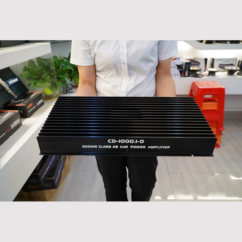 Suoer CD-1000.1-D Hot Sale 3000w 12v Auto Amplifier MONO Channel Full Frequency Class AB Car Audio