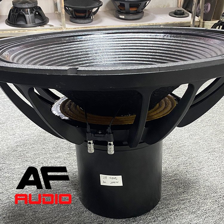21X4 Inch Car Subwoofer Spl Subwoofer Car Competition With Amplifier Speakers Inch 5000w