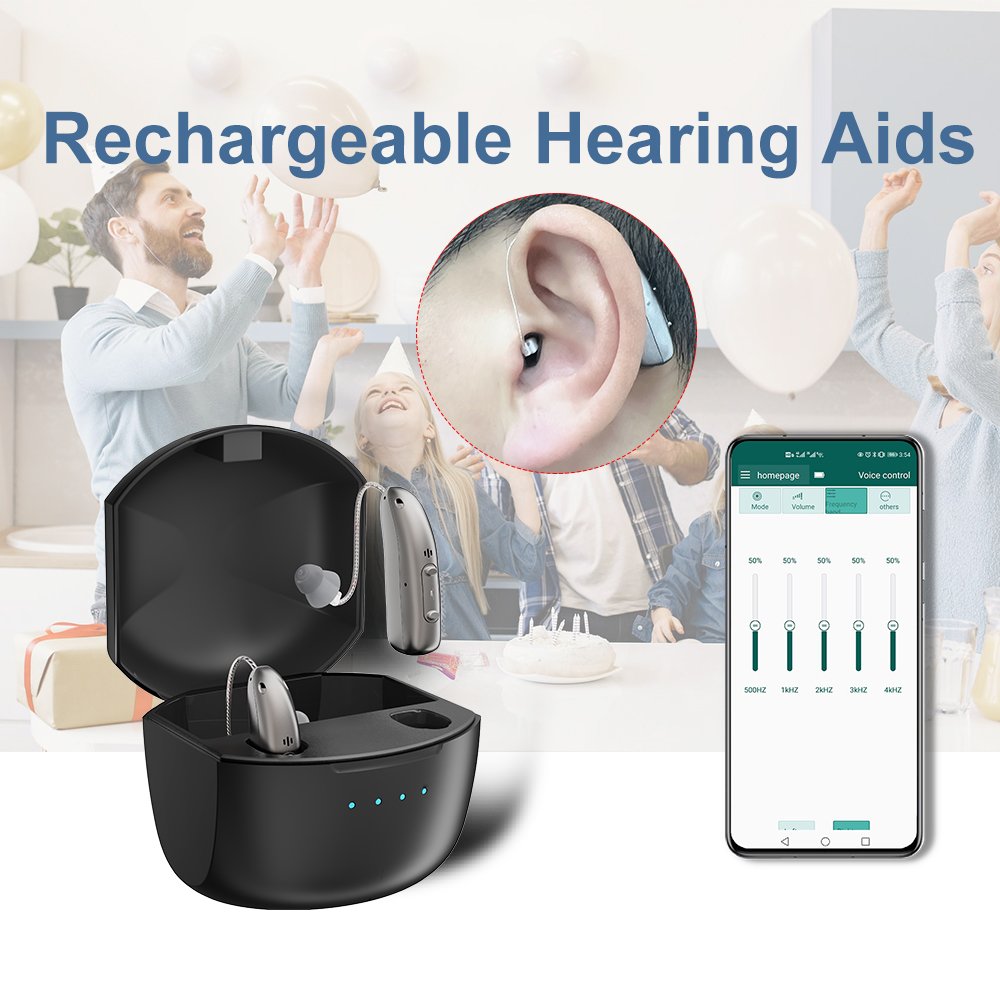 R03L1 Rechargeable Hearing Aids with App, Digital BTE Hearing Amplifier Receiver In Canal High Sound Quality