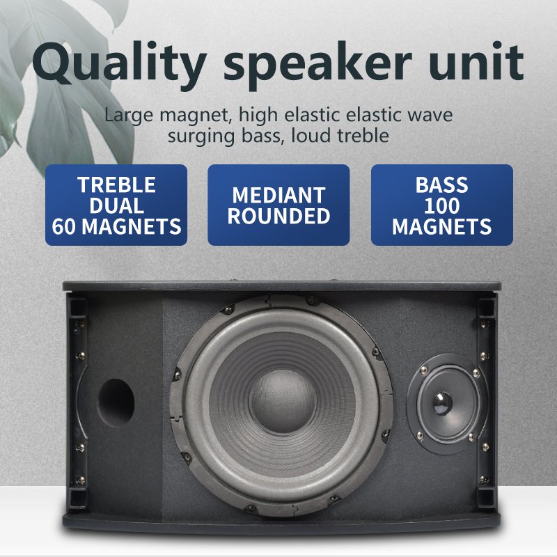 SW-1010B Super Bass 10" Home Karaoke Set 2x10" Woofer Speakers+1 Mic Echo BT/USB/SD/MMC/AUX/FM Radio Professional Amplifier