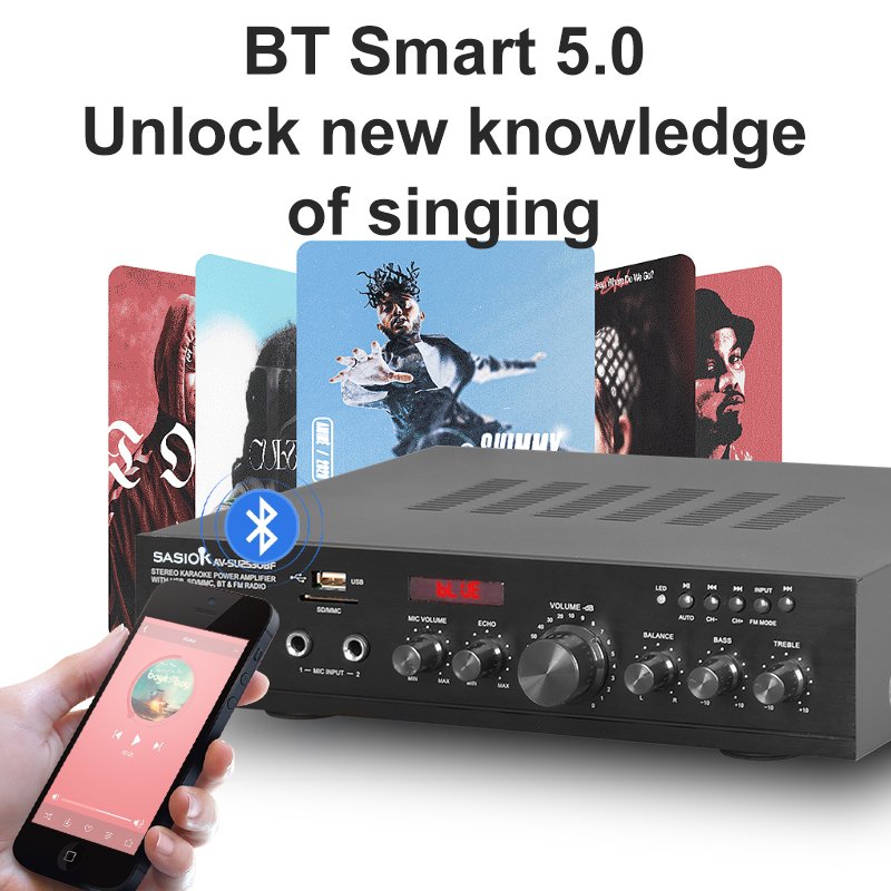 SW-1010B Super Bass 10" Home Karaoke Set 2x10" Woofer Speakers+1 Mic Echo BT/USB/SD/MMC/AUX/FM Radio Professional Amplifier