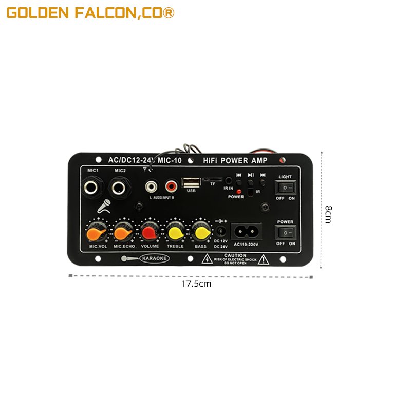 Digital Power Amplifier BT Board 6-10inch AC 220V 12v 24v Dual Microphone Powered Amplifiers Module