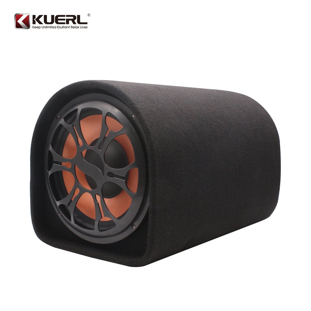 10 Inch Tunnel Type Car Subwoofer With Amplifier, Suitable for Car Bass