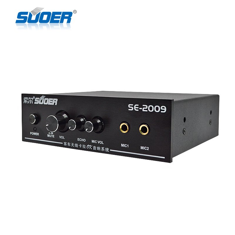 Bus 12/24V Car Audio Amplifier Amplifier for Car Stereo Support Microphone Speak or Karaoke