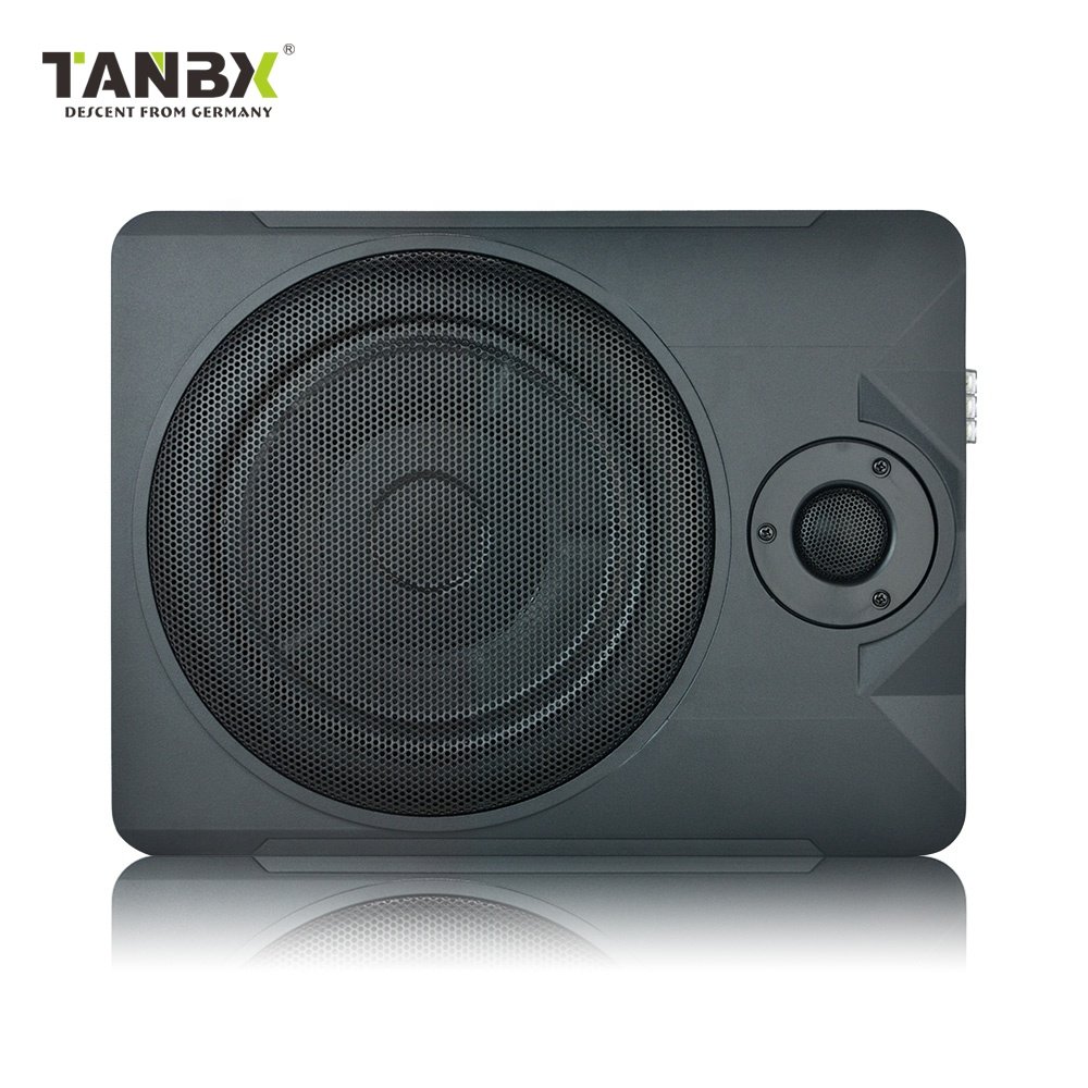 Factory Price 10 Inch High Power Car Amplifier Underseat Subwoofer Pure Bass Car Audio Speaker