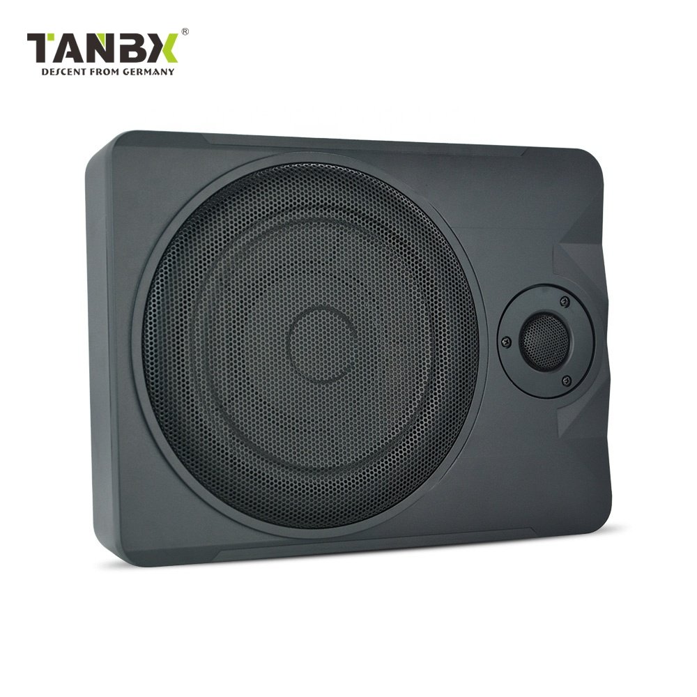 Factory Price 10 Inch High Power Car Amplifier Underseat Subwoofer Pure Bass Car Audio Speaker
