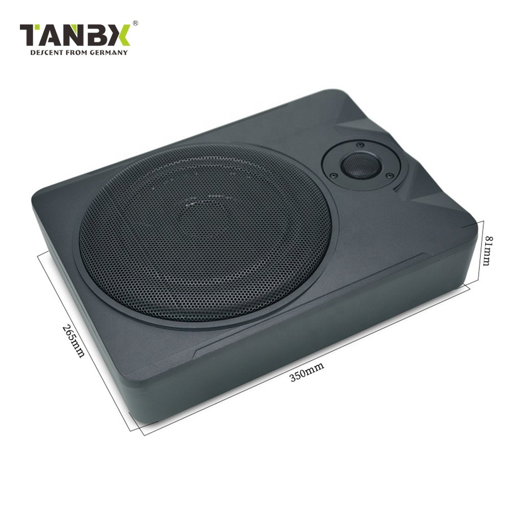 Factory Price 10 Inch High Power Car Amplifier Underseat Subwoofer Pure Bass Car Audio Speaker