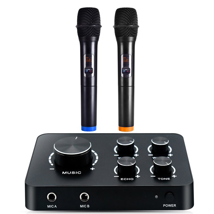 Best Selling Universal Dual UHF Wireless Microphone 2 Mic System Frequency Selectable for KTV Karaoke
