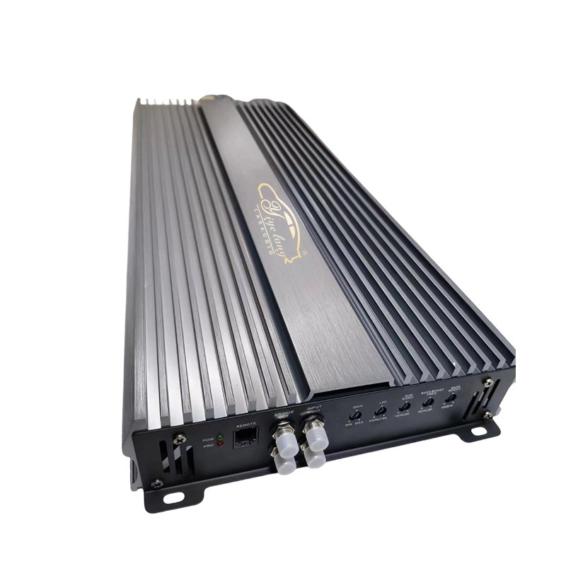 Manufacturers Low MOQ High Quality Class D 1Channel Car Amplifiers RMS5000w