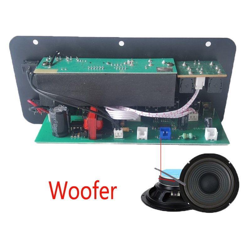 8-18 Inch Speaker D10 Auto Power Amplifier Dual Microphone Adjustable Reverb Manufacturer Rated 30W Bluetooth Car Sound