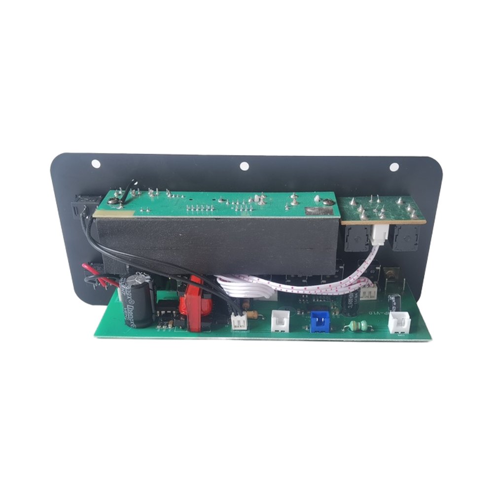 8-18 Inch Speaker D10 Auto Power Amplifier Dual Microphone Adjustable Reverb Manufacturer Rated 30W Bluetooth Car Sound