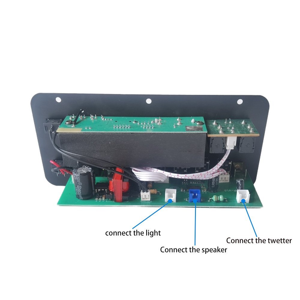8-18 Inch Speaker D10 Auto Power Amplifier Dual Microphone Adjustable Reverb Manufacturer Rated 30W Bluetooth Car Sound