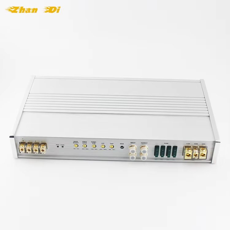 Factory Direct 5000 Watts 12V Car Audio Amplifier Mini Class D Monoblock with Aluminium Material 1 Channel