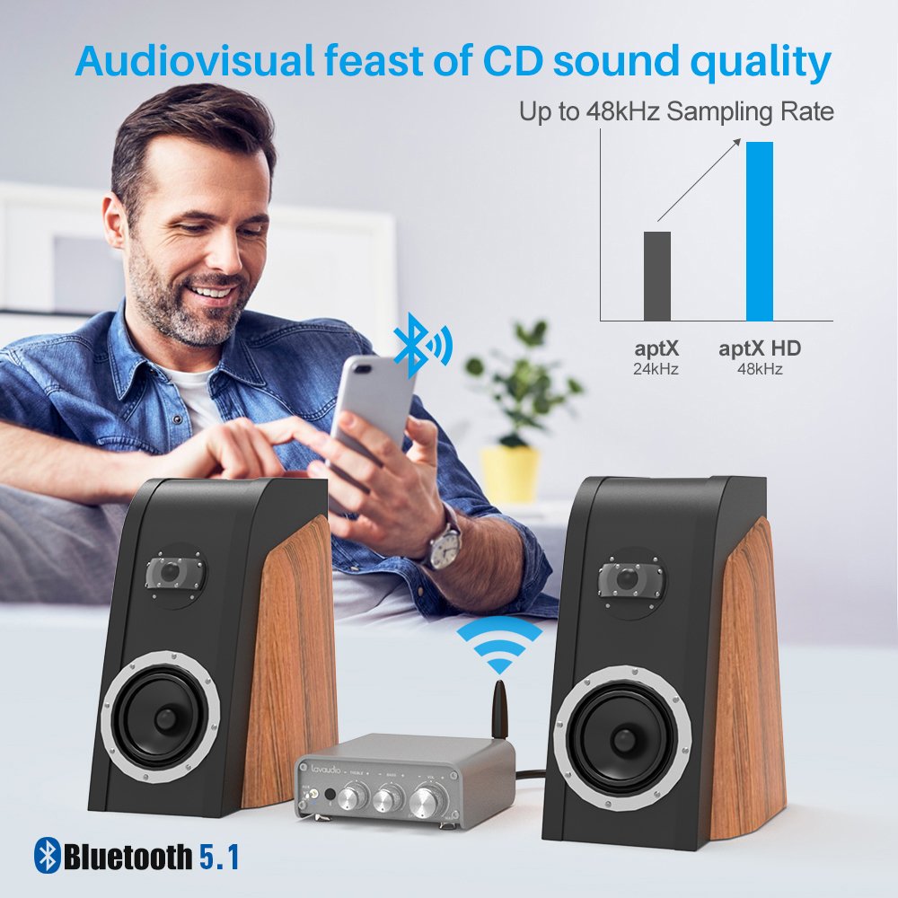 Wholesale Hot Sell Audio Amplifier Receiver Bluetooth 5.1 and Line in Dual Model 1Mii DS300 Support Aptx Aptx HD for TV Speaker