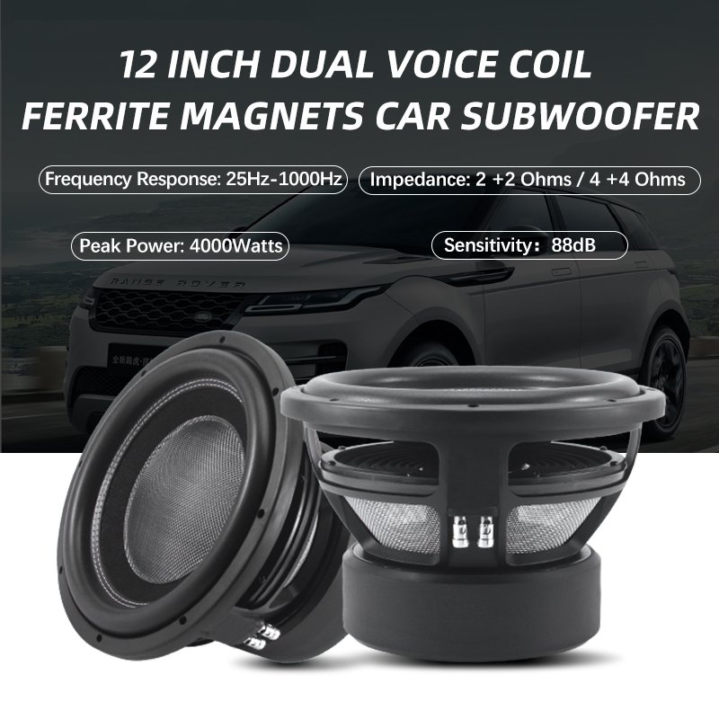 2000W Car Bass Speaker Car Audio Subwoofer 10 12 15 18 Inch 4000w Subwoofers for Cars