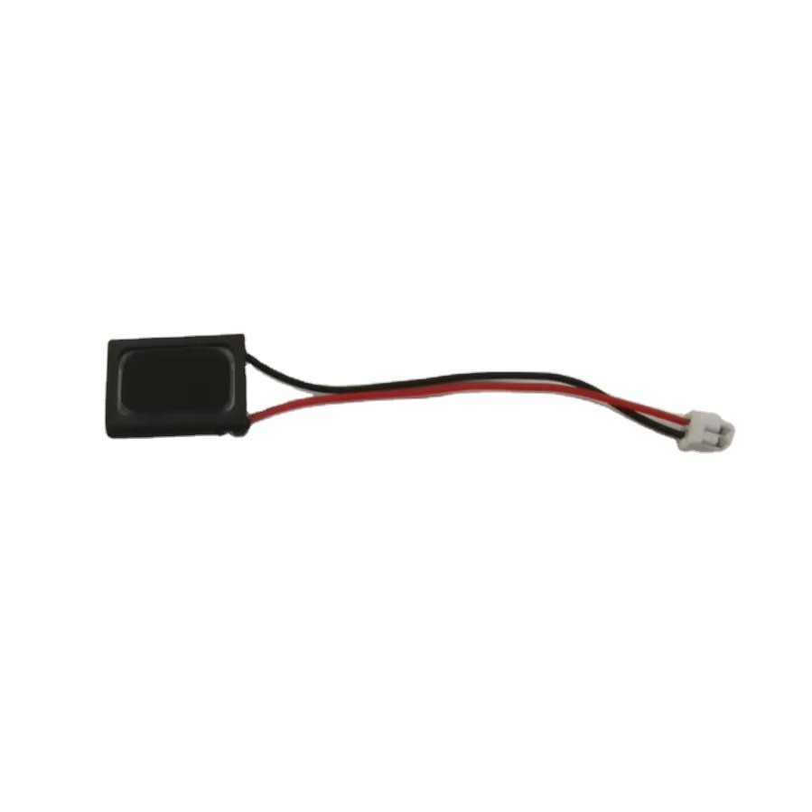 Small Volume Low-Power Voice Broadcasting On Digital Products Speakers