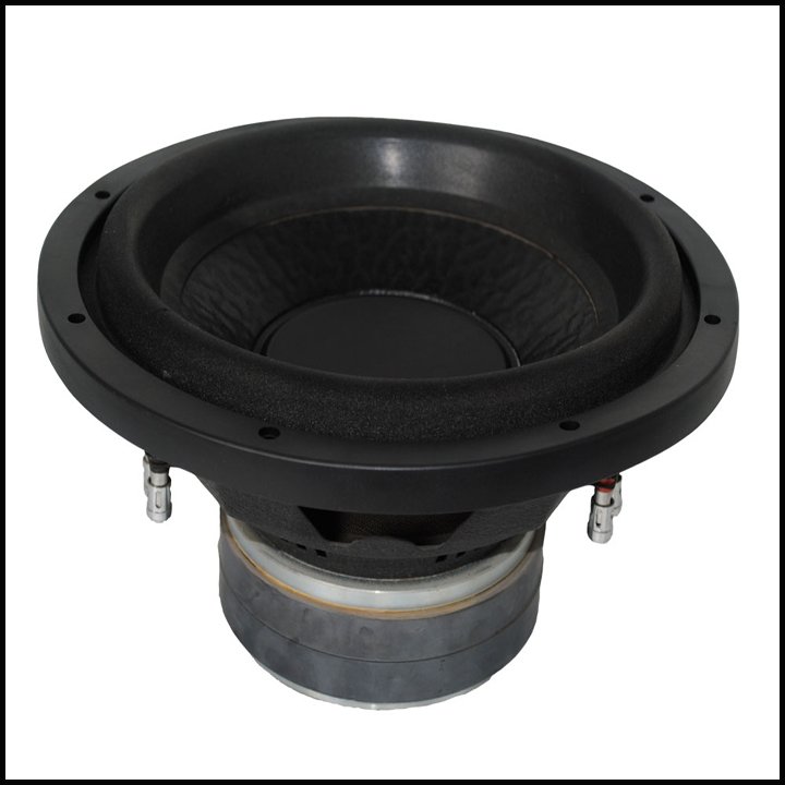 12 Inch Subwoofer Portable bluetooth Speaker Subwoofer Neodymium