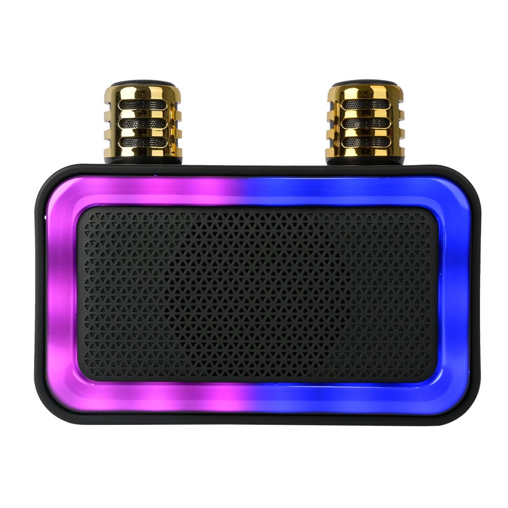 High Power Karaoke with Dual Microphone Boombox Speaker Bluetooth Wireless Portable 360 Stereo Surround Subwoofer for Outdoors