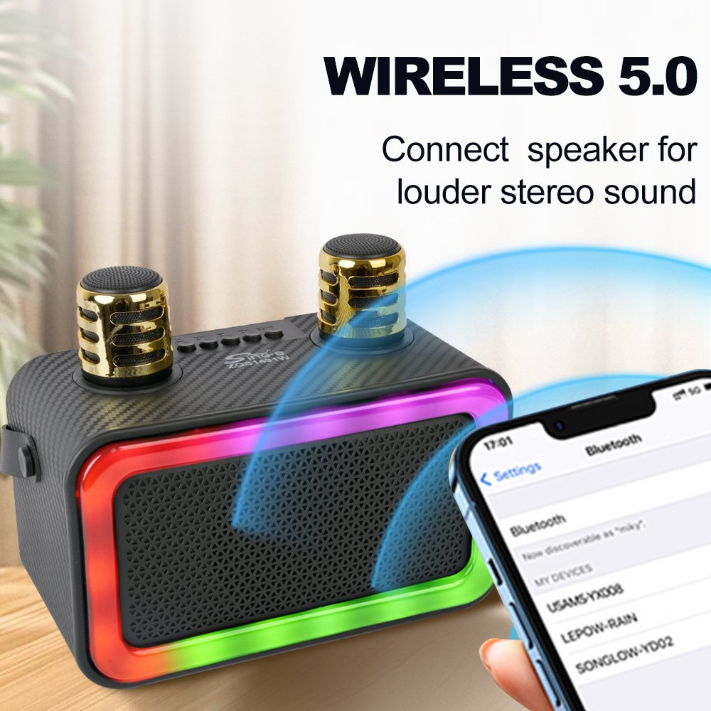 High Power Karaoke with Dual Microphone Boombox Speaker Bluetooth Wireless Portable 360 Stereo Surround Subwoofer for Outdoors