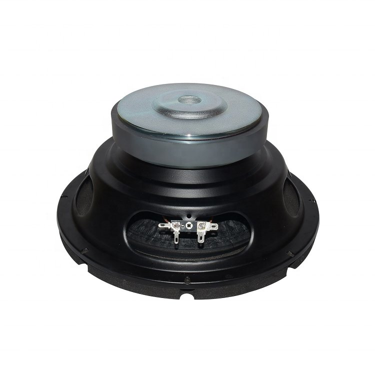 10 Inch Car Subwoofer Speaker Car Audio System Car High Power Subwoofer Speaker Horn WL10017S