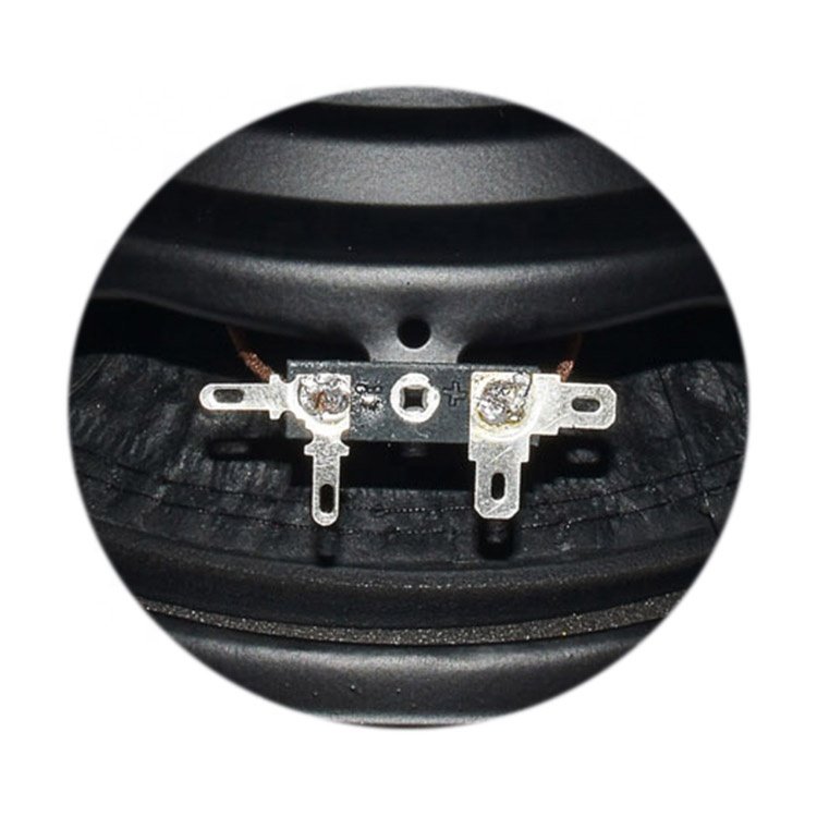 10 Inch Car Subwoofer Speaker Car Audio System Car High Power Subwoofer Speaker Horn WL10017S