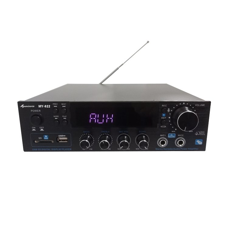 Good Quality 220V Car Audio Power Amplifier 2 Channel Class D Subwoofer Audio