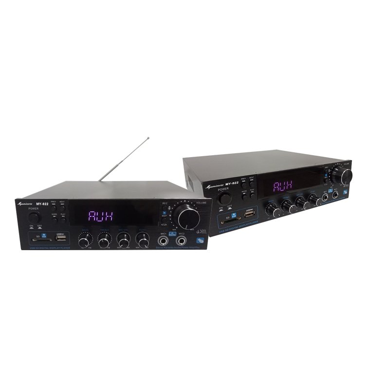 Good Quality 220V Car Audio Power Amplifier 2 Channel Class D Subwoofer Audio
