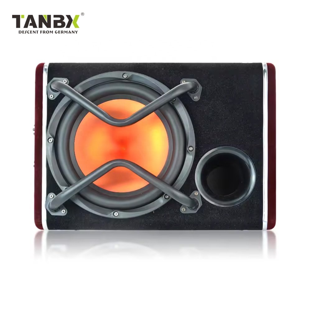 Farctory Wholesale New 2000W Trapezoid Car Super Bass 10 Inch Active Car Subwoofer 10" Car Active Amplifier Subwoofer