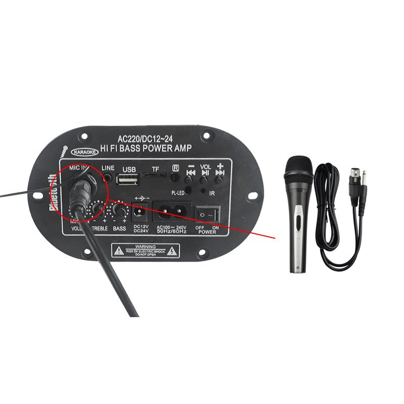 Customisable 220V 12V 24V AMP Digital Subwoofer Mono Microphone Amplifiers Music-Specific Board for Car & Home Sound Enhancement