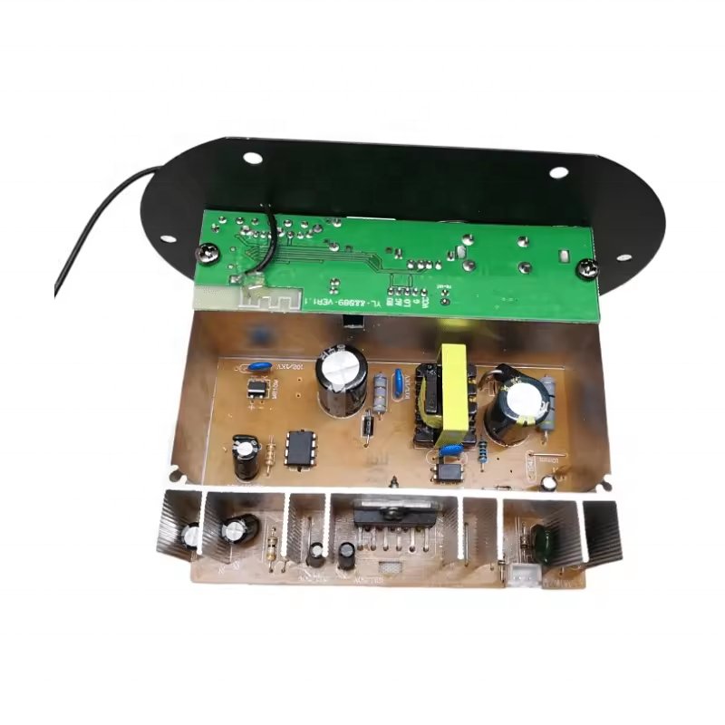 DC12V 24V AC220V 120W Car Subwoofer Blue-tooth Audio Amplifier Board Dual Microphone for 8-10inch Speaker Power Amplifier Board